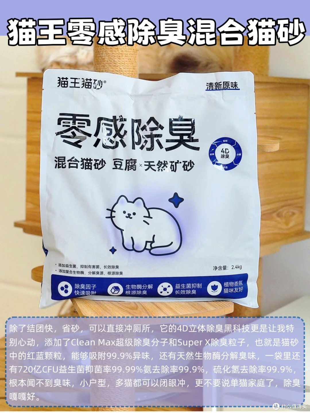 养猫臭别硬扛!6 款除臭猫砂实测,多猫家庭也能用