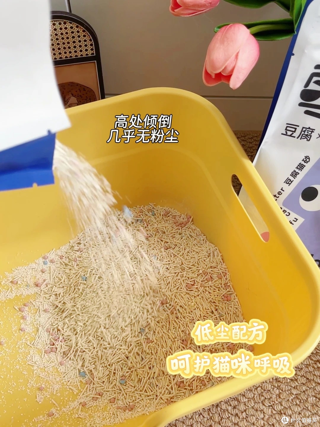 养猫臭别硬扛!6 款除臭猫砂实测,多猫家庭也能用