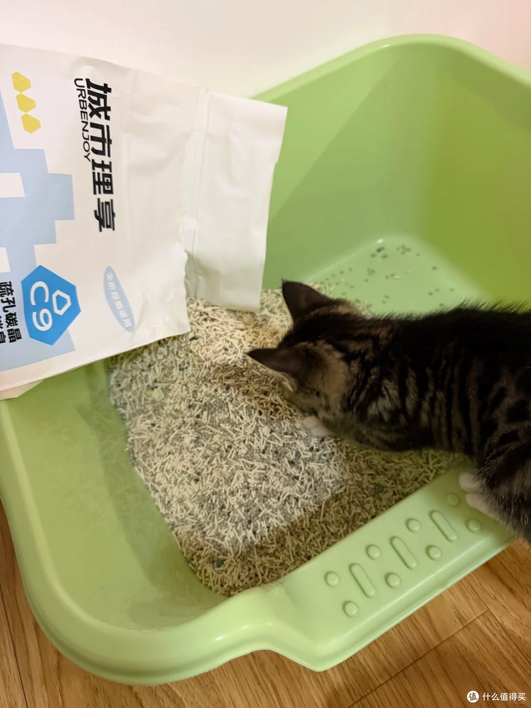 养猫臭别硬扛!6 款除臭猫砂实测,多猫家庭也能用