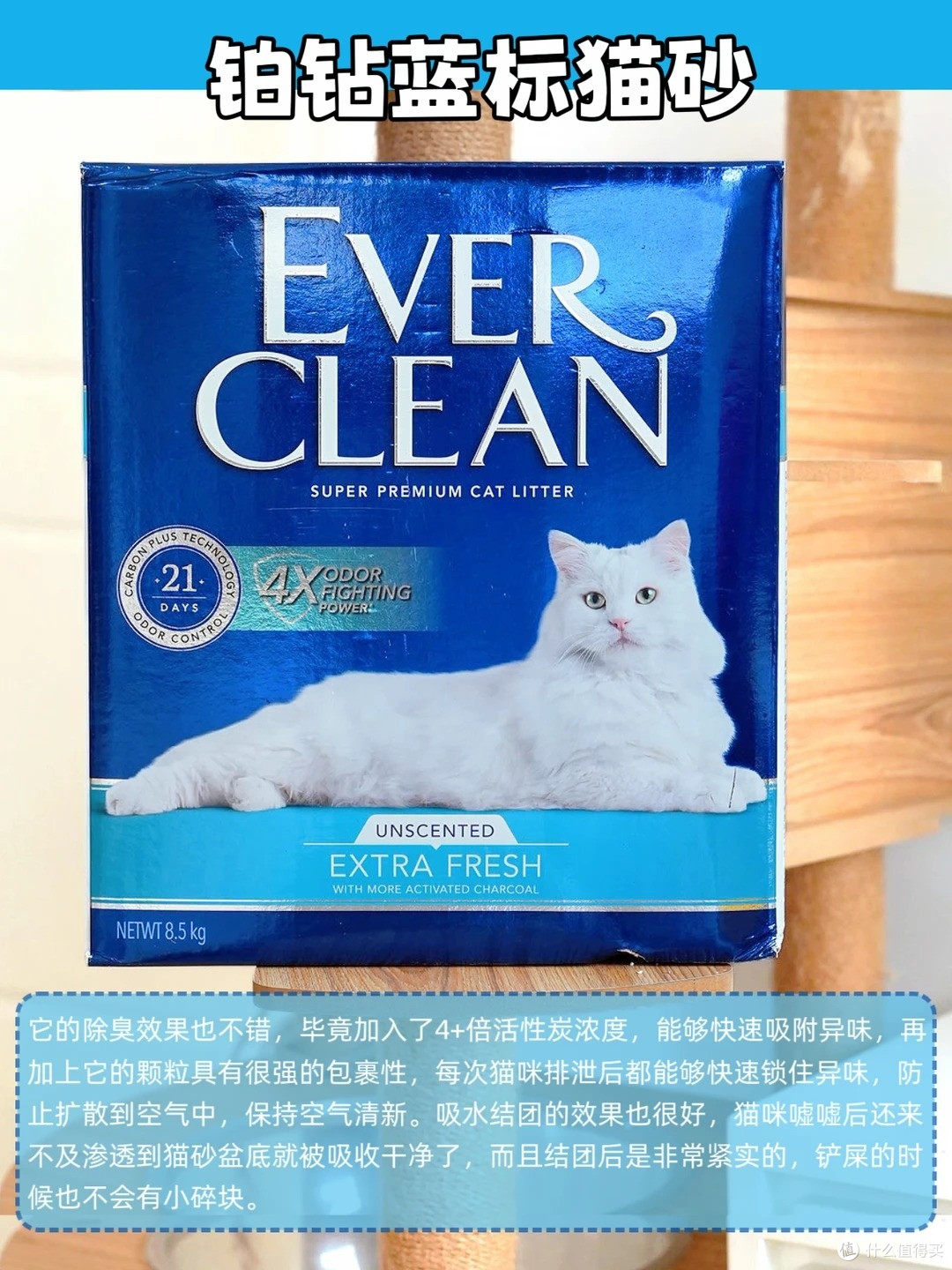 养猫臭别硬扛!6 款除臭猫砂实测,多猫家庭也能用