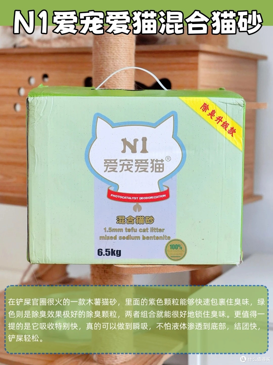 养猫臭别硬扛!6 款除臭猫砂实测,多猫家庭也能用