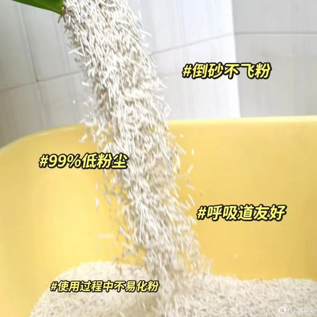 养猫臭别硬扛!6 款除臭猫砂实测,多猫家庭也能用
