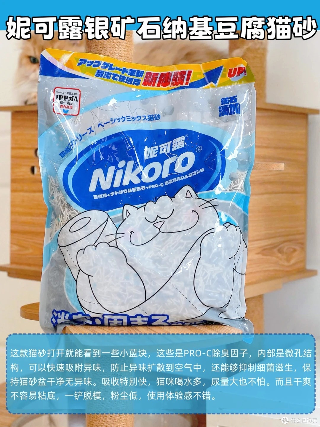 养猫臭别硬扛!6 款除臭猫砂实测,多猫家庭也能用