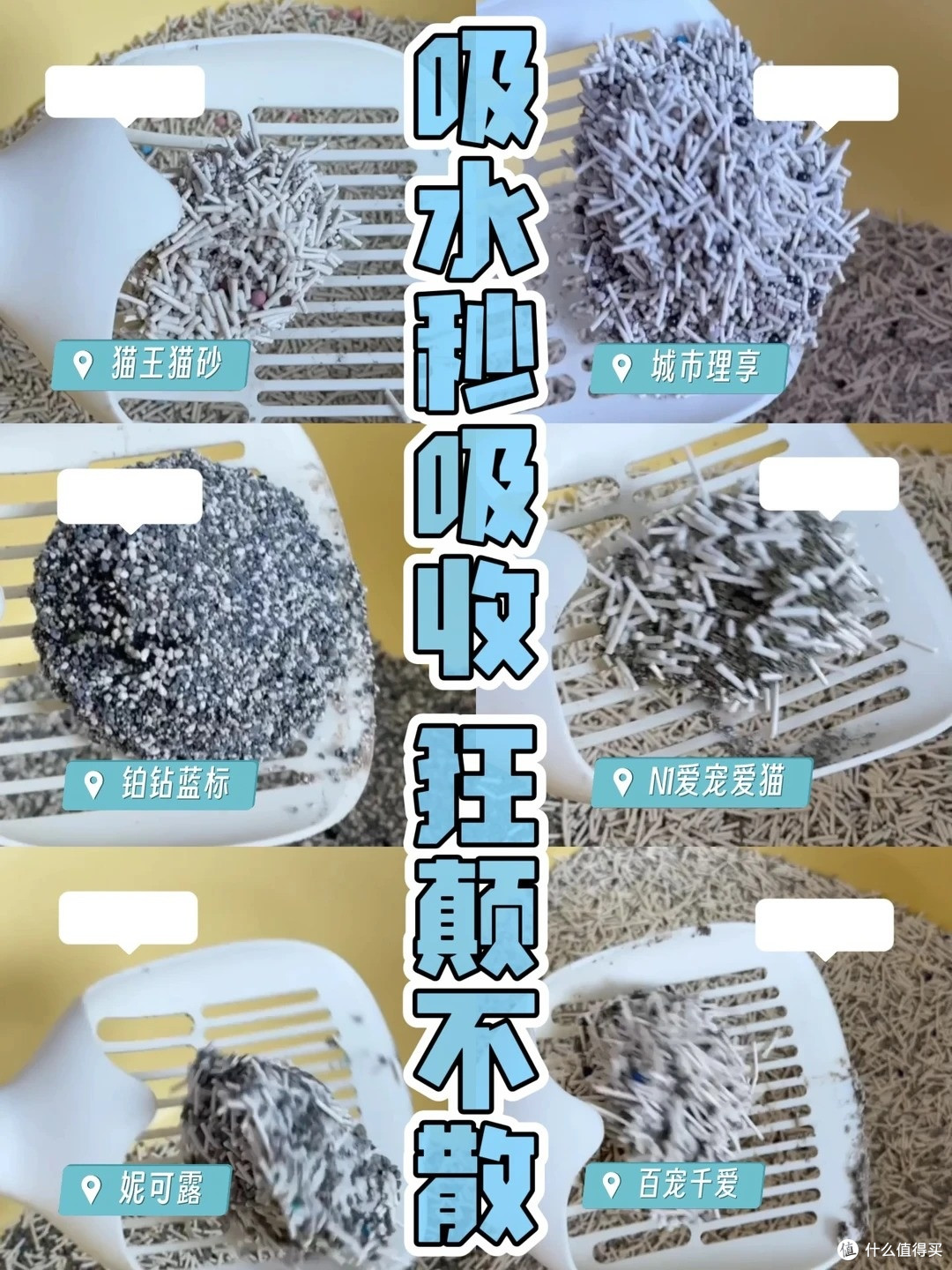 养猫臭别硬扛!6 款除臭猫砂实测,多猫家庭也能用