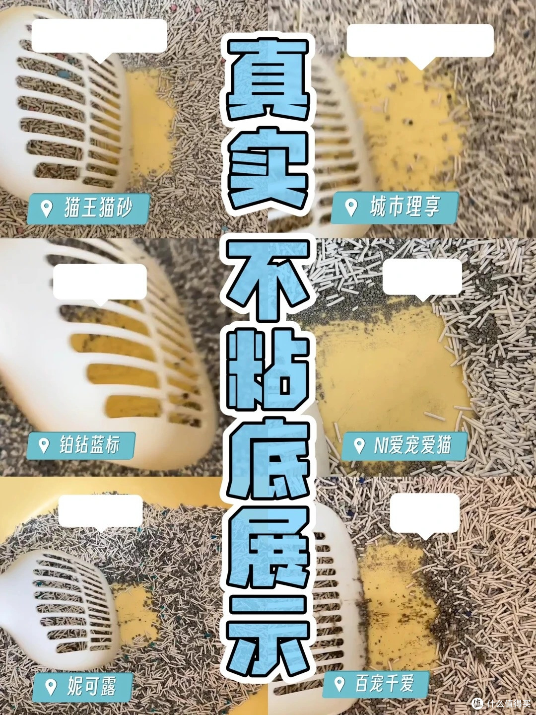 养猫臭别硬扛!6 款除臭猫砂实测,多猫家庭也能用
