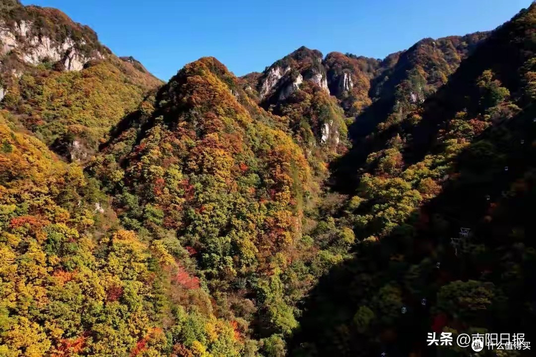 抱娃宝妈大拇指发酸时，专用腱鞘护腕怎么挑？先看贴合和顺手