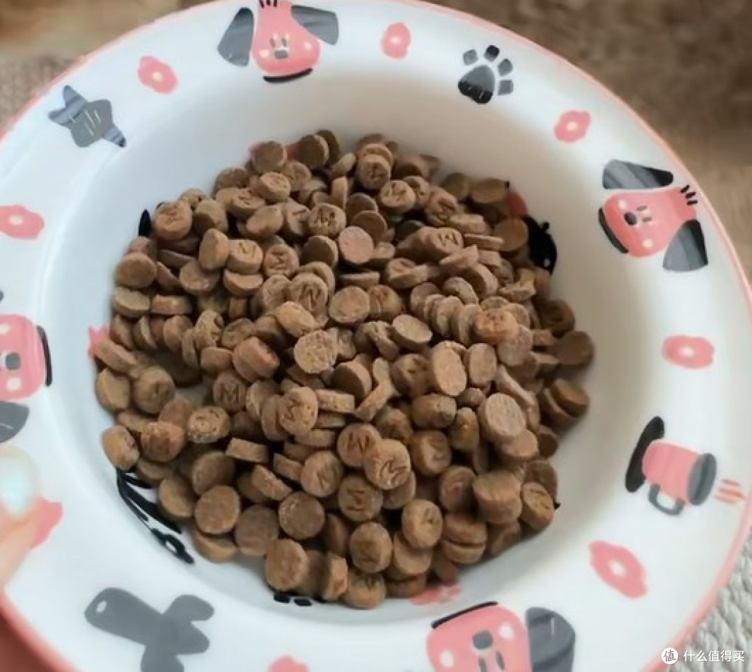 希喂低温烘焙猫粮实测:黑下巴猫咪如何选择猫粮?这款值得入手吗