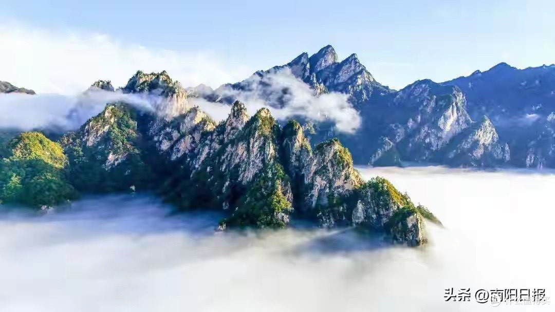 敏感肌人群敷面膜怕刺痛?这4款温和不刺激的成分我会先看