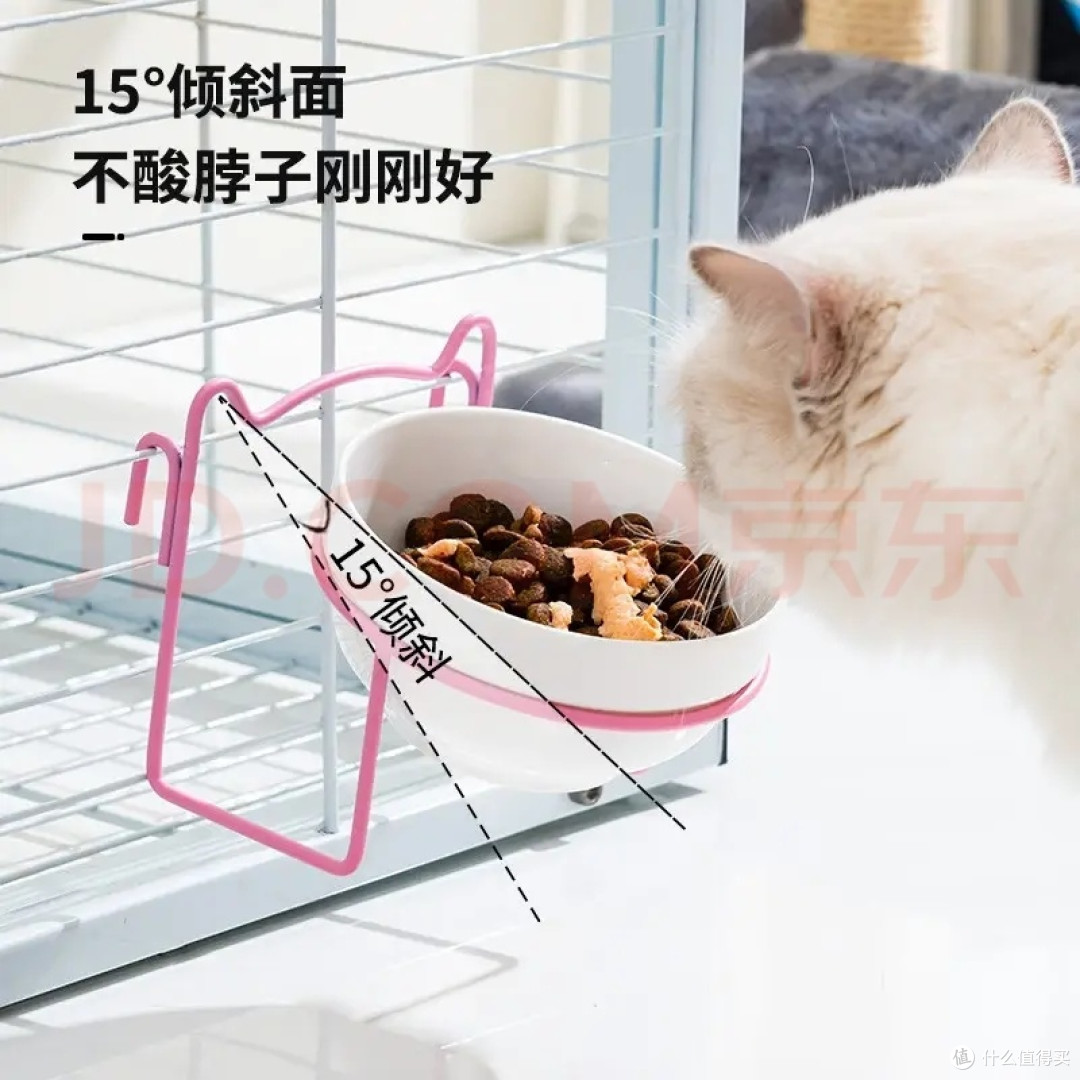 新手养猫别冲动，聊聊养猫之前要算清的真实成本