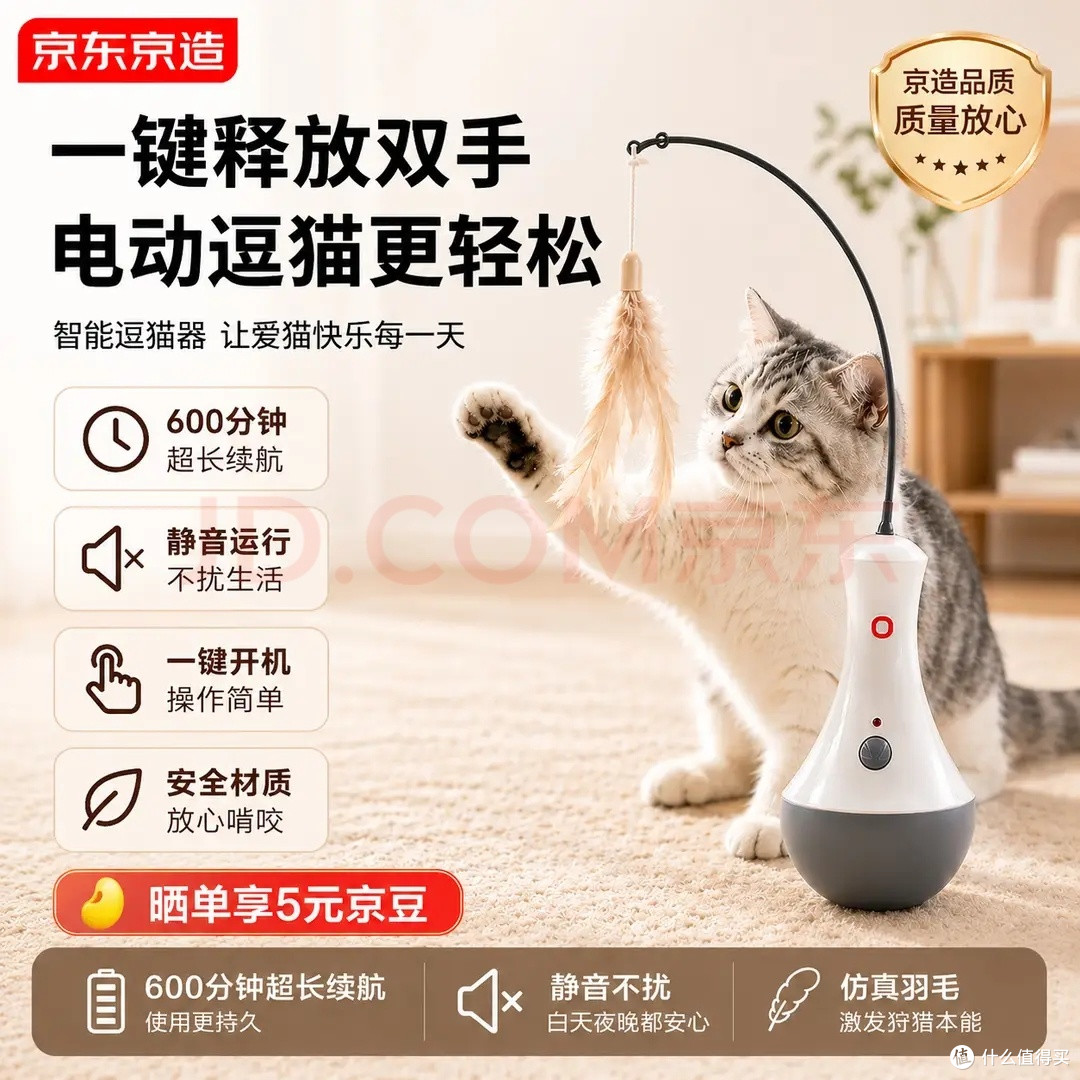 新手养猫别冲动，聊聊养猫之前要算清的真实成本
