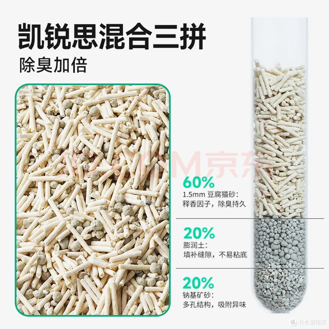 新手养猫别冲动，聊聊养猫之前要算清的真实成本