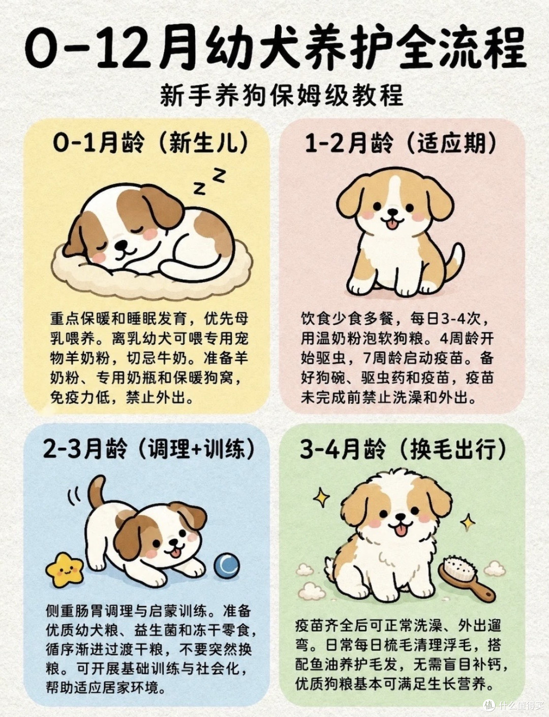 新手养狗不踩雷:科学喂养+日常护理,看这篇就够了