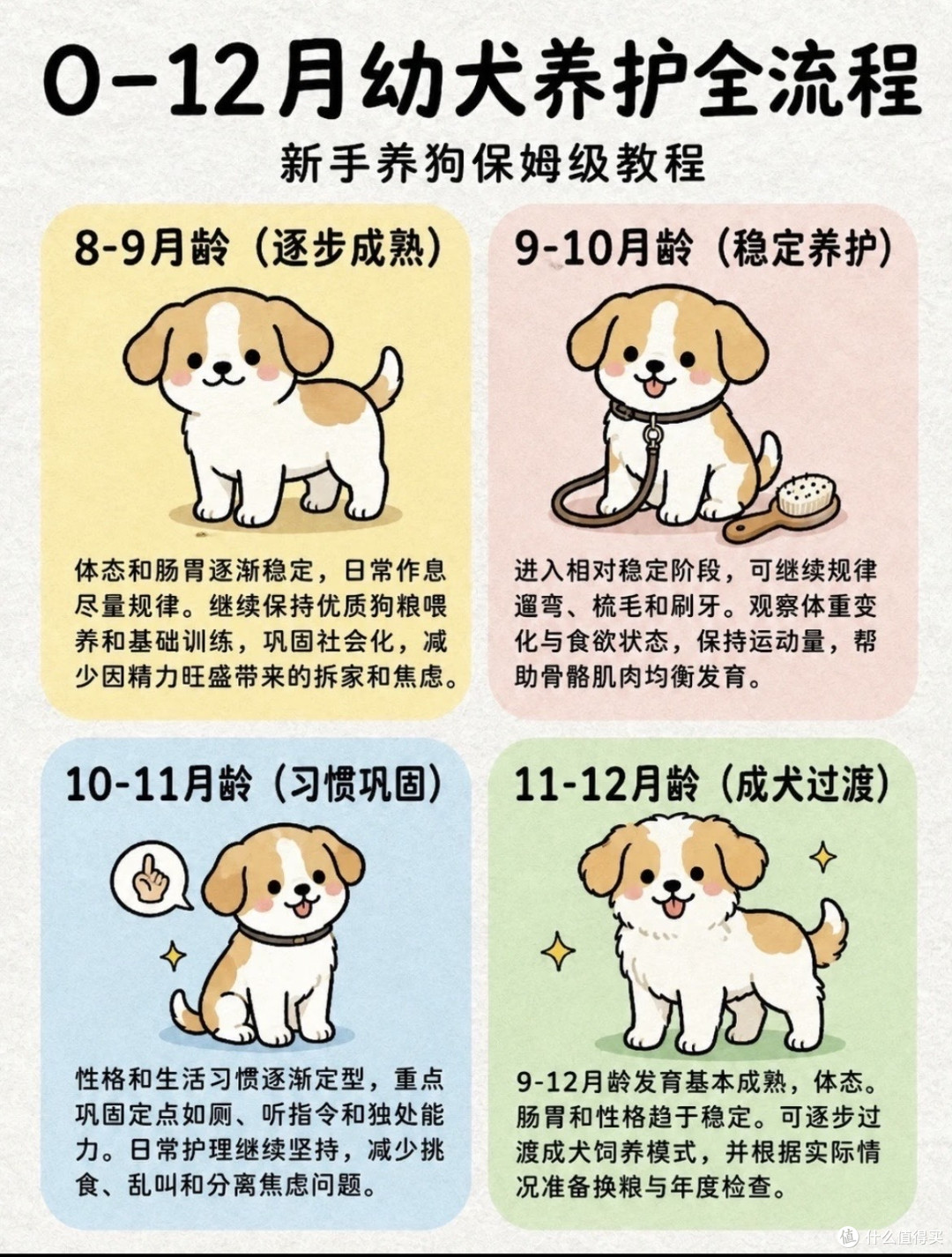 新手养狗不踩雷:科学喂养+日常护理,看这篇就够了
