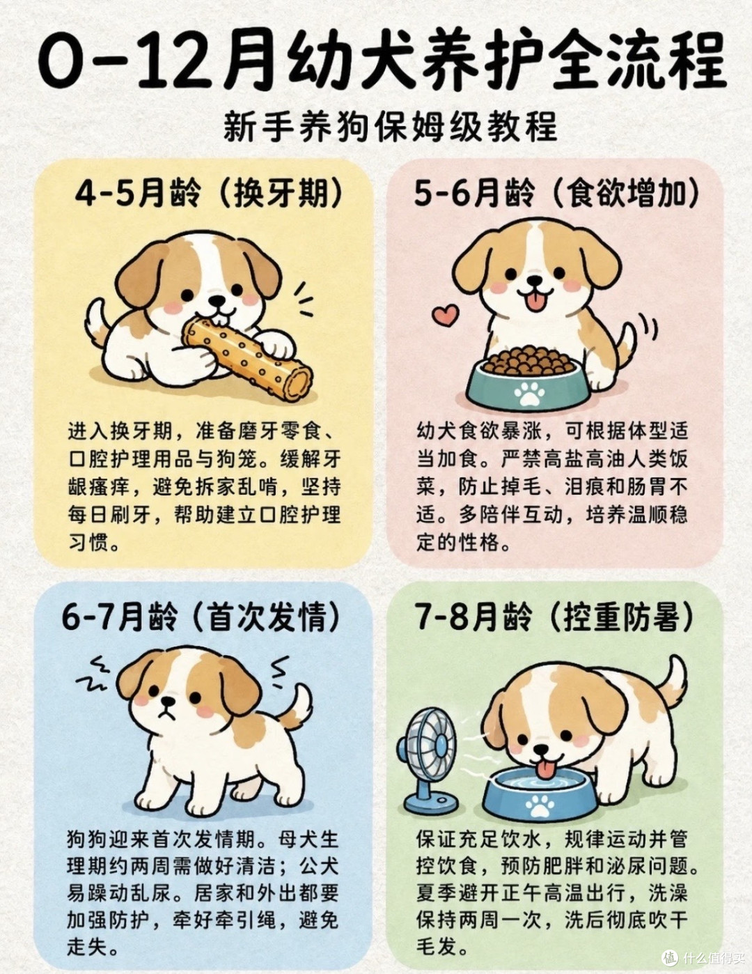新手养狗不踩雷：科学喂养+日常护理，看这篇就够了