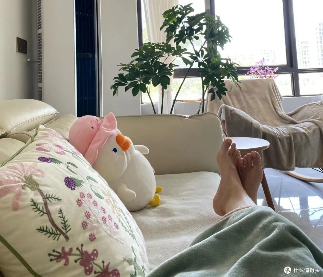 果然,还是年轻人更会“偷懒”,不花多少力气,就把日子过舒坦!