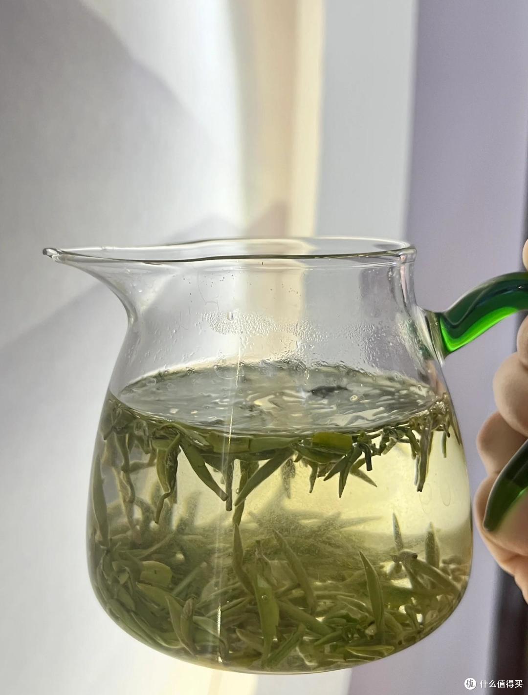 中国“绿茶”盘点,哪6款绿茶名气最大?