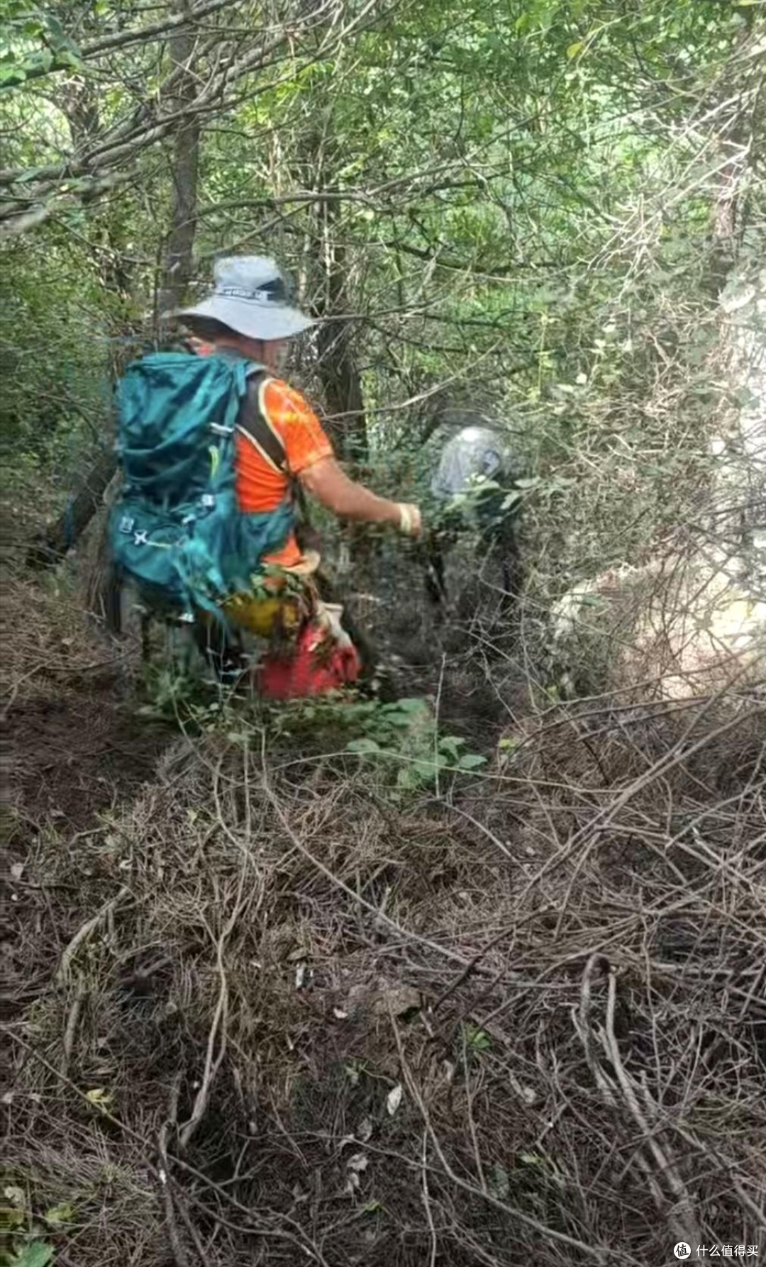 山野备忘录｜"我在山里摔了一跤"，是 63 岁的他留给妻子的最后一句话