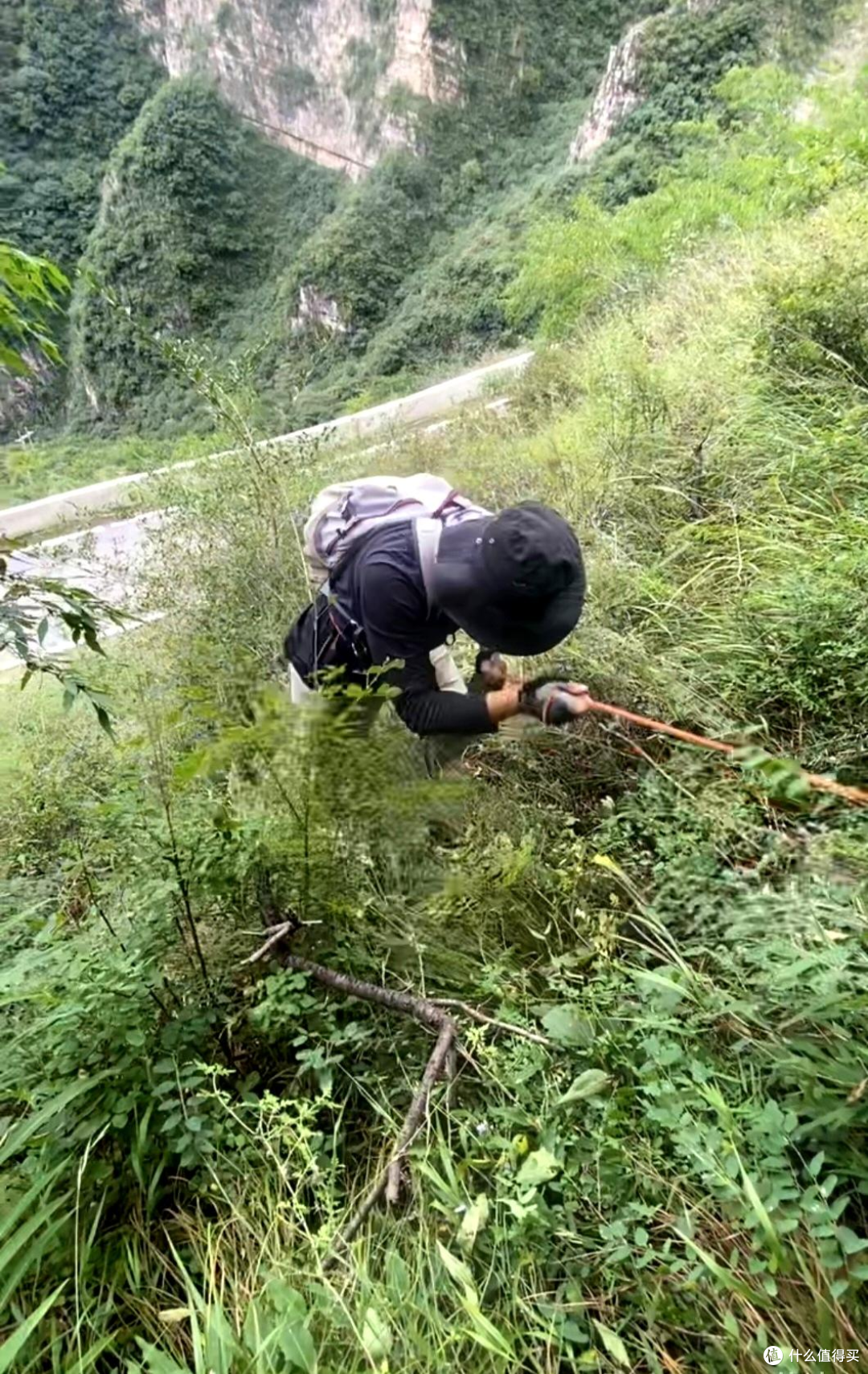 山野备忘录｜"我在山里摔了一跤"，是 63 岁的他留给妻子的最后一句话