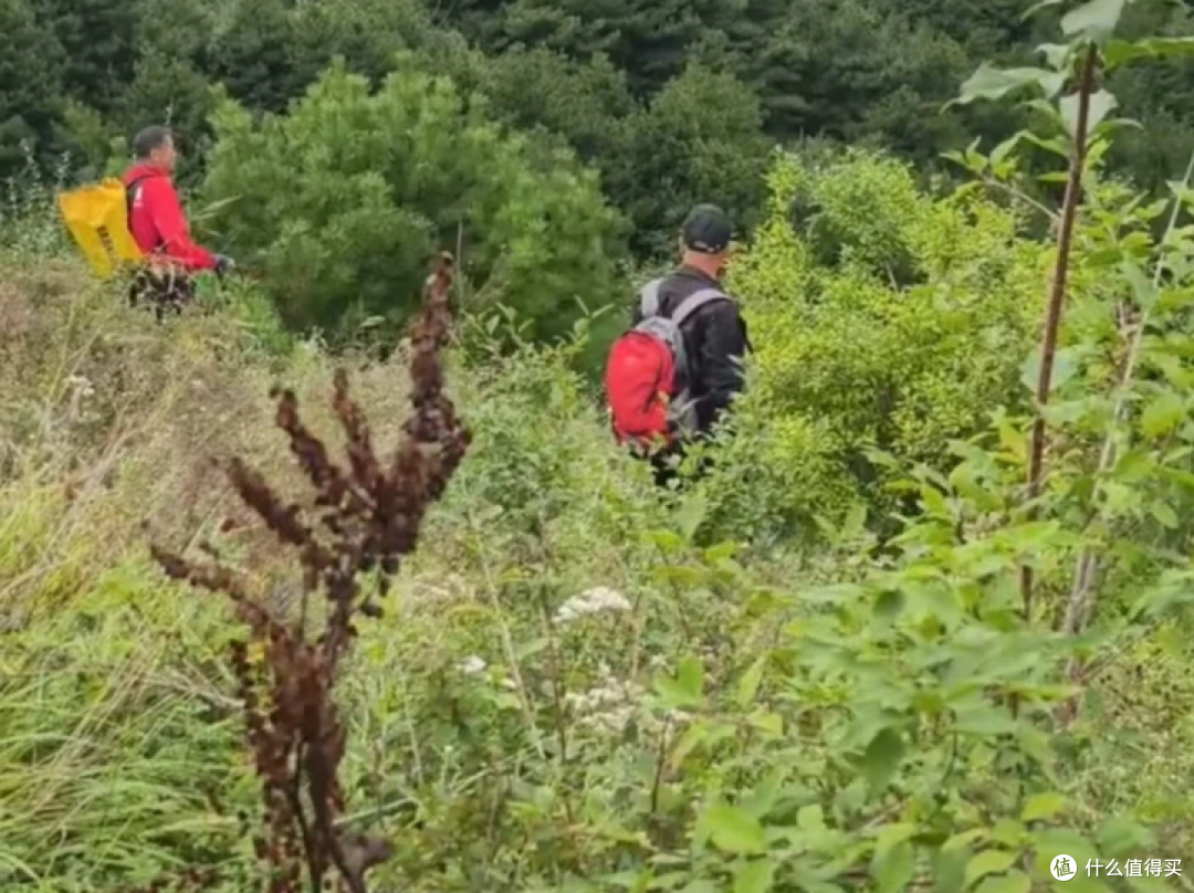山野备忘录｜"我在山里摔了一跤"，是 63 岁的他留给妻子的最后一句话