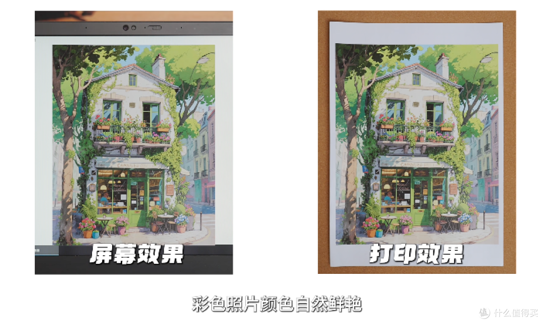 彩色照片效果：色彩衔接自然，图案纹理可辨