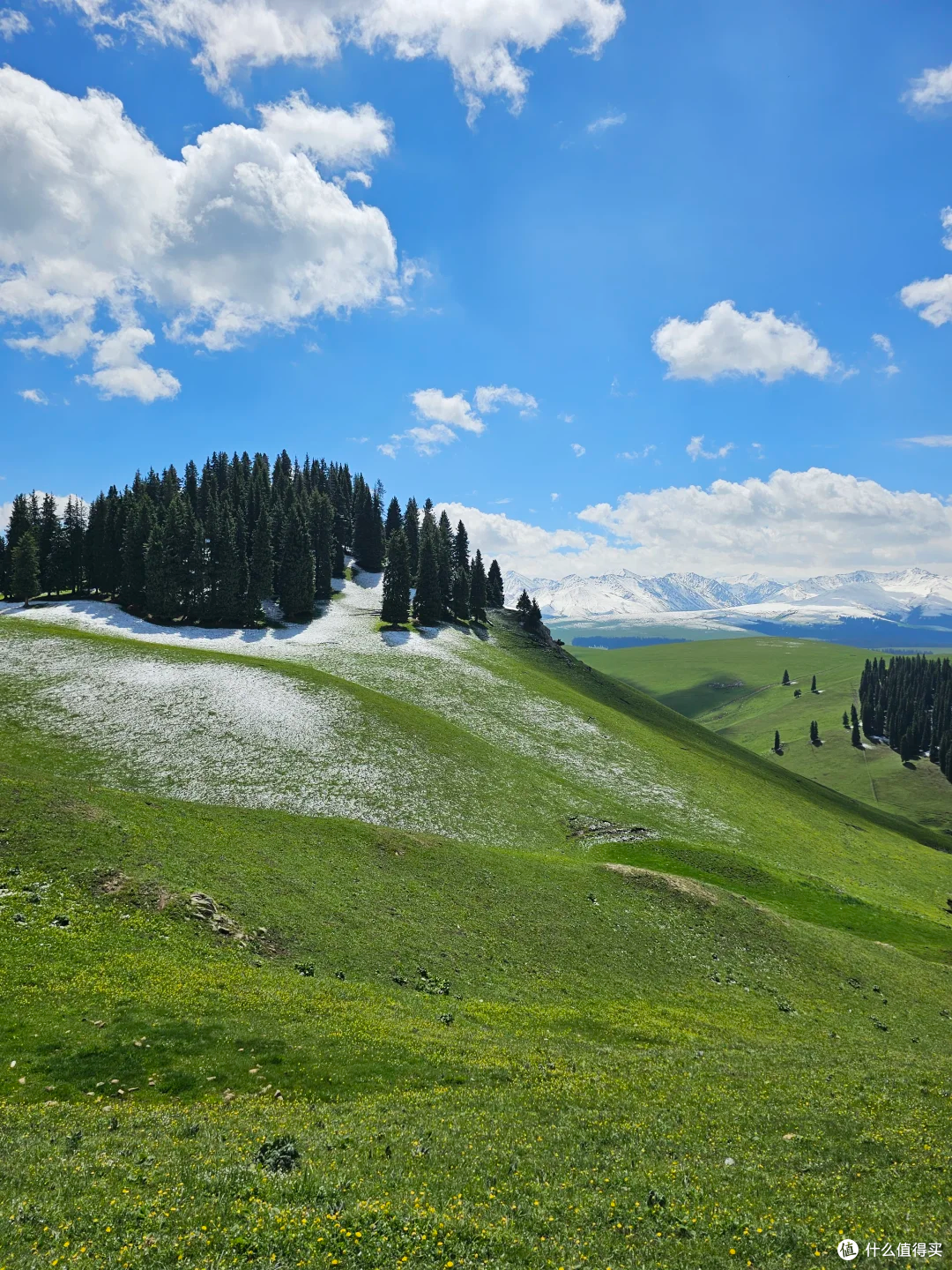 山野路书 10｜喀拉峻：伊犁天山腹地，一条集齐雪山花海森林峡谷的立体草原之路