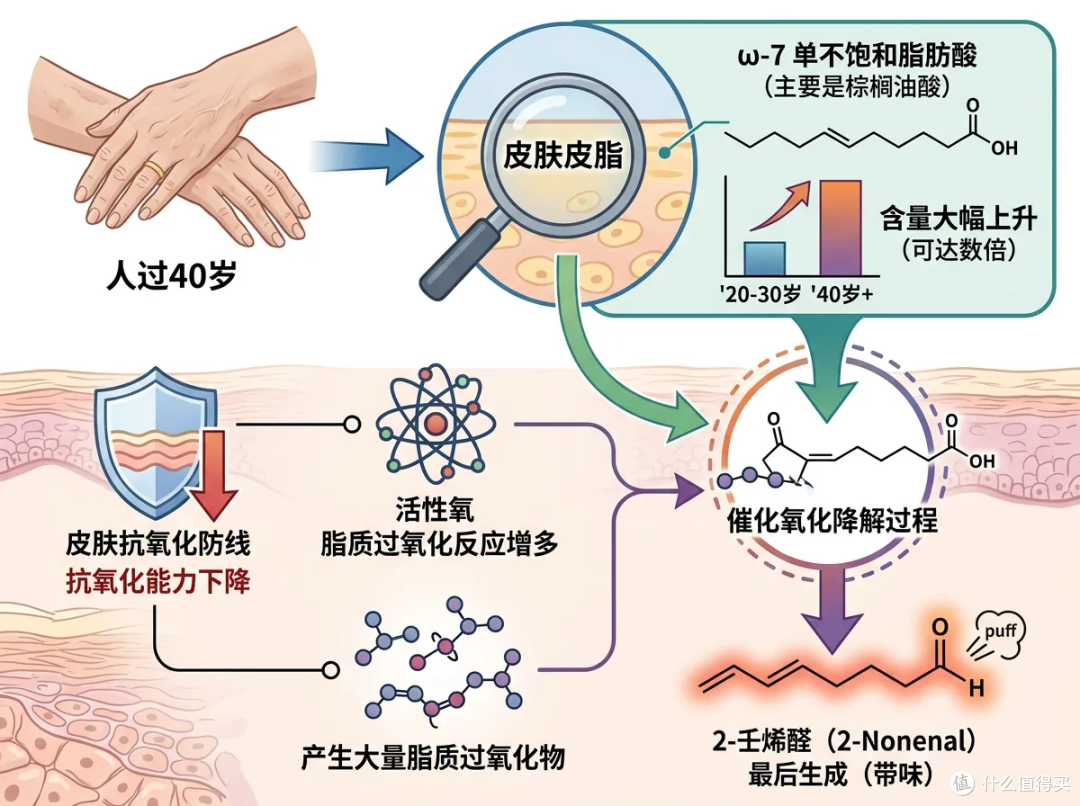 40岁一到,那股"洗不掉"的味就开始找上门了!