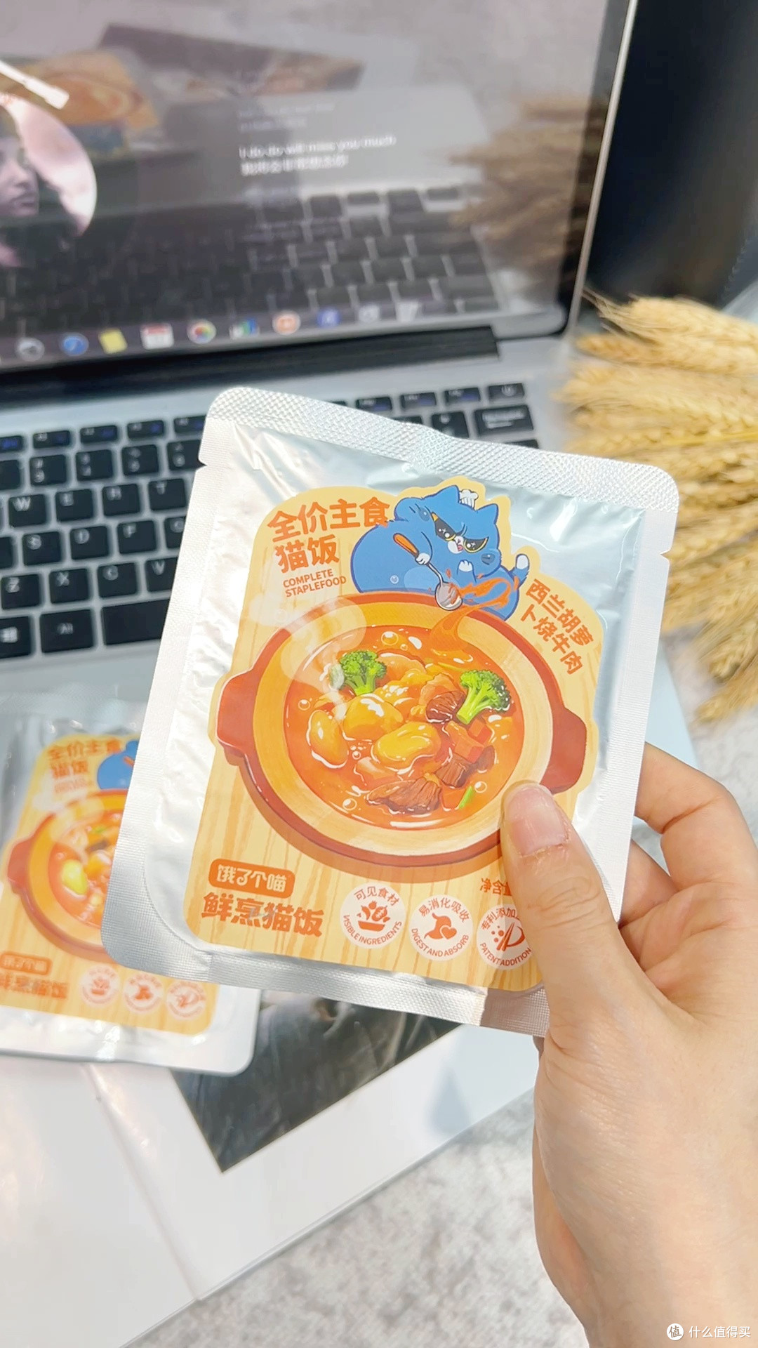 从零食汤包升级到主食餐包,养猫观念该更新了