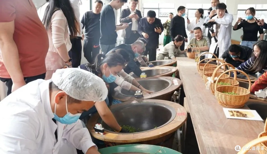 婺源茶山小记：采了茶、炒了茶，也喝到了这辈子最鲜的一杯茶