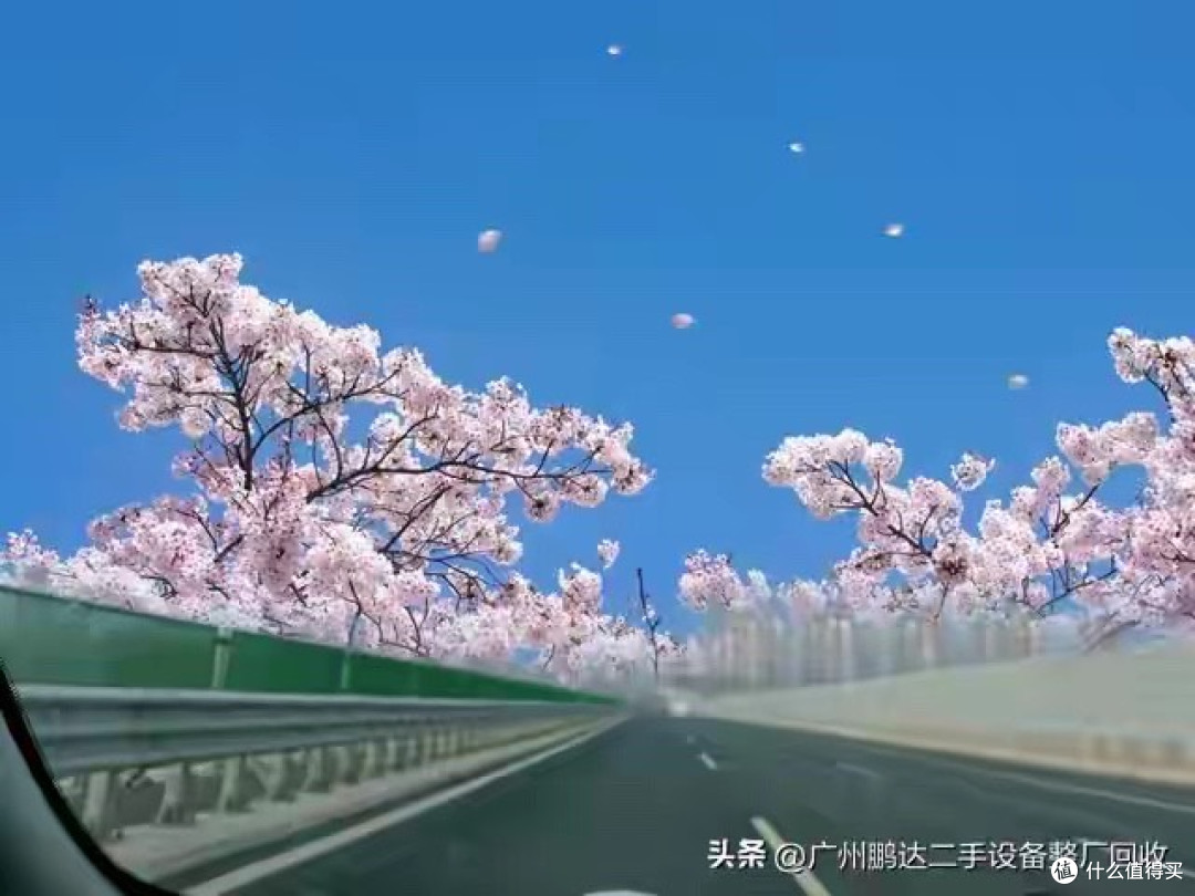 减脂期跑步党喝哪款蛋白粉?我会从饱腹、纯度和单次成本反向筛