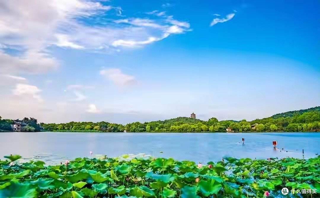 夏天T区爱反光的混油皮敷面膜怕黏?这几款清爽紧致面膜更适合些