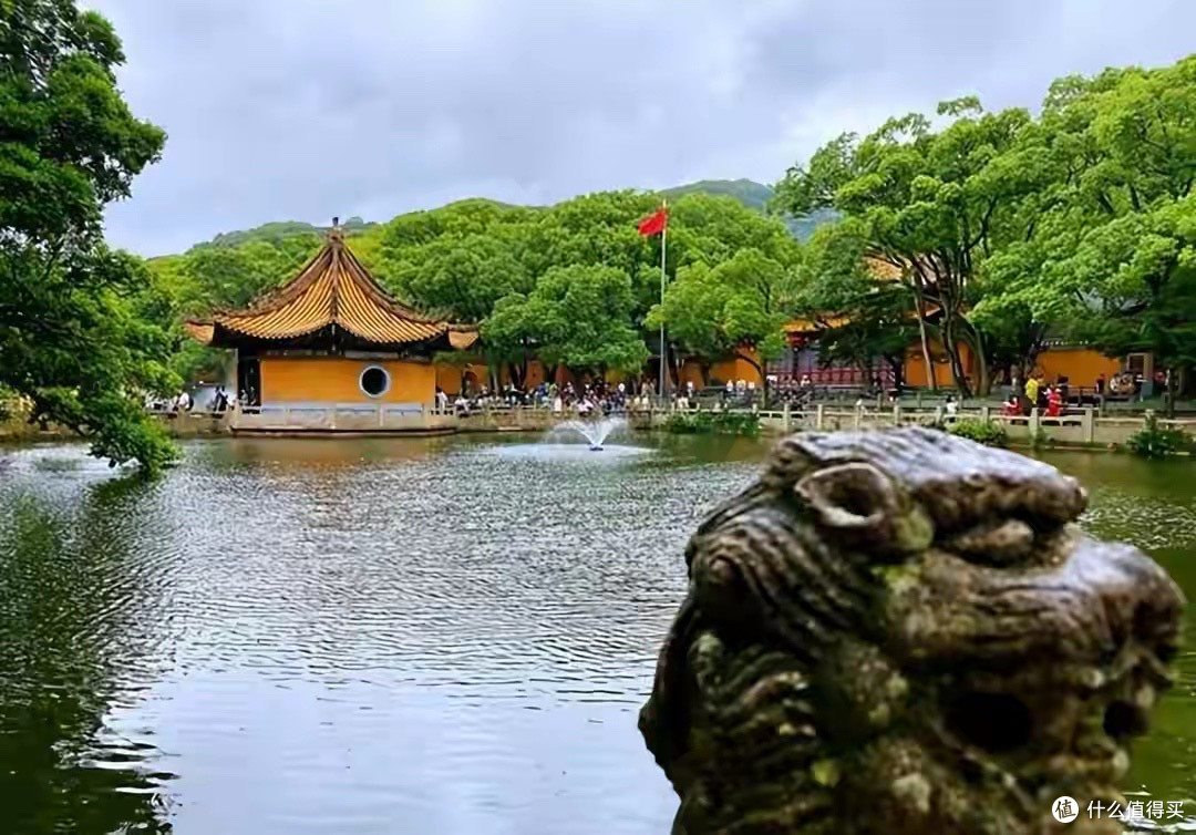 新手宝妈头皮总出油——控油防脱洗发水什么牌子更适合长期用