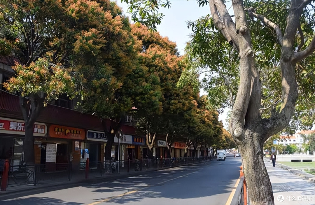 厦门集美本地人推荐小吃，集美老城区有哪些地道不网红的小吃店