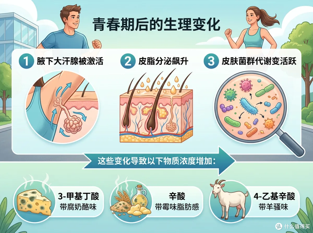 40岁一到,那股"洗不掉"的味就开始找上门了!