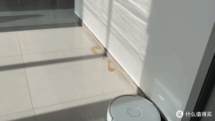 动图