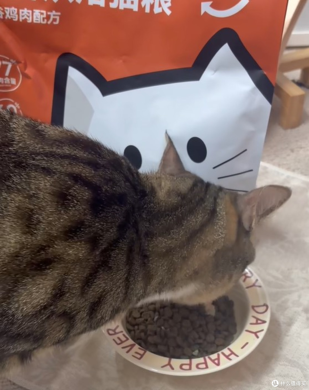 新手怎么选猫粮？希喂 、法米娜和蓝氏哪款猫粮既好吃又营养？