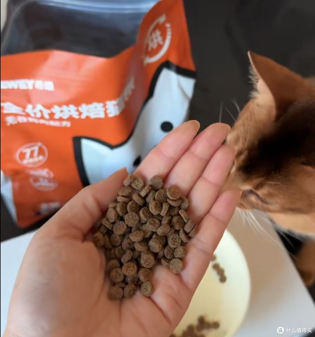 新手怎么选猫粮？希喂 、法米娜和蓝氏哪款猫粮既好吃又营养？