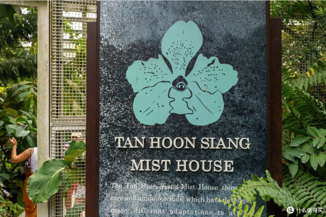 新加坡之行｜康莱德酒廊早餐意外解锁，带娃倒时差的正确打开方式