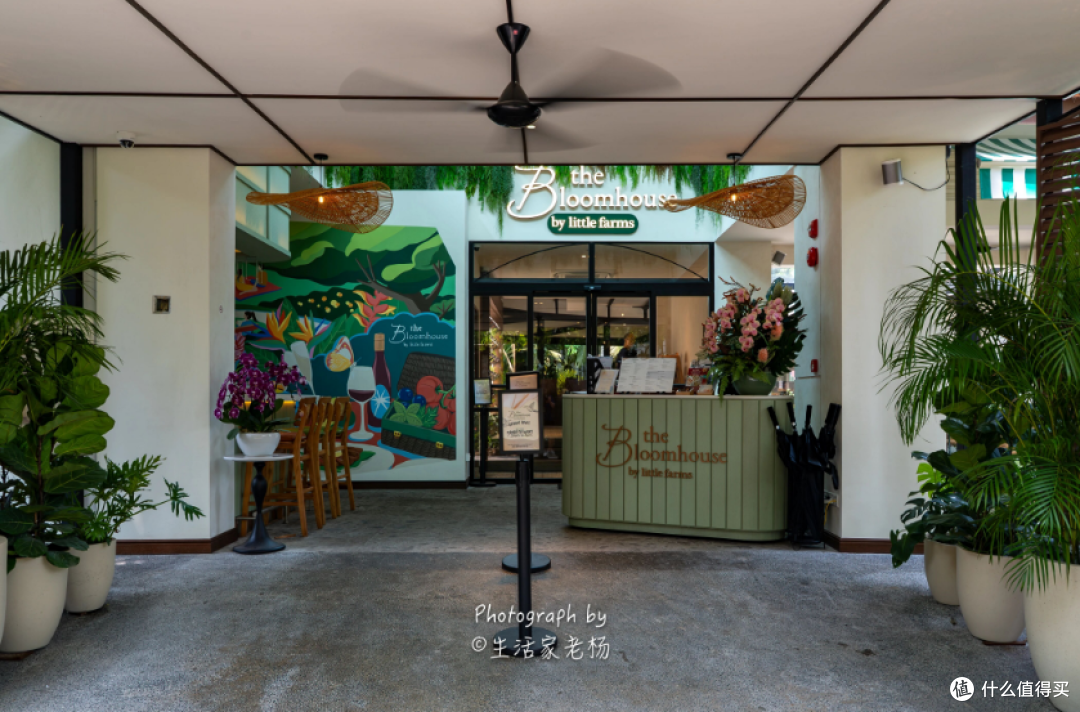新加坡之行｜康莱德酒廊早餐意外解锁，带娃倒时差的正确打开方式
