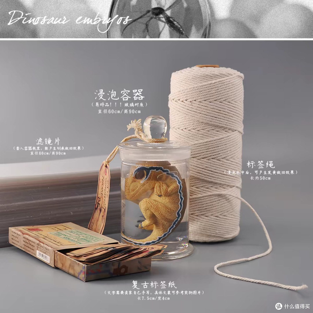 侏罗纪迅猛龙孵化模型体验