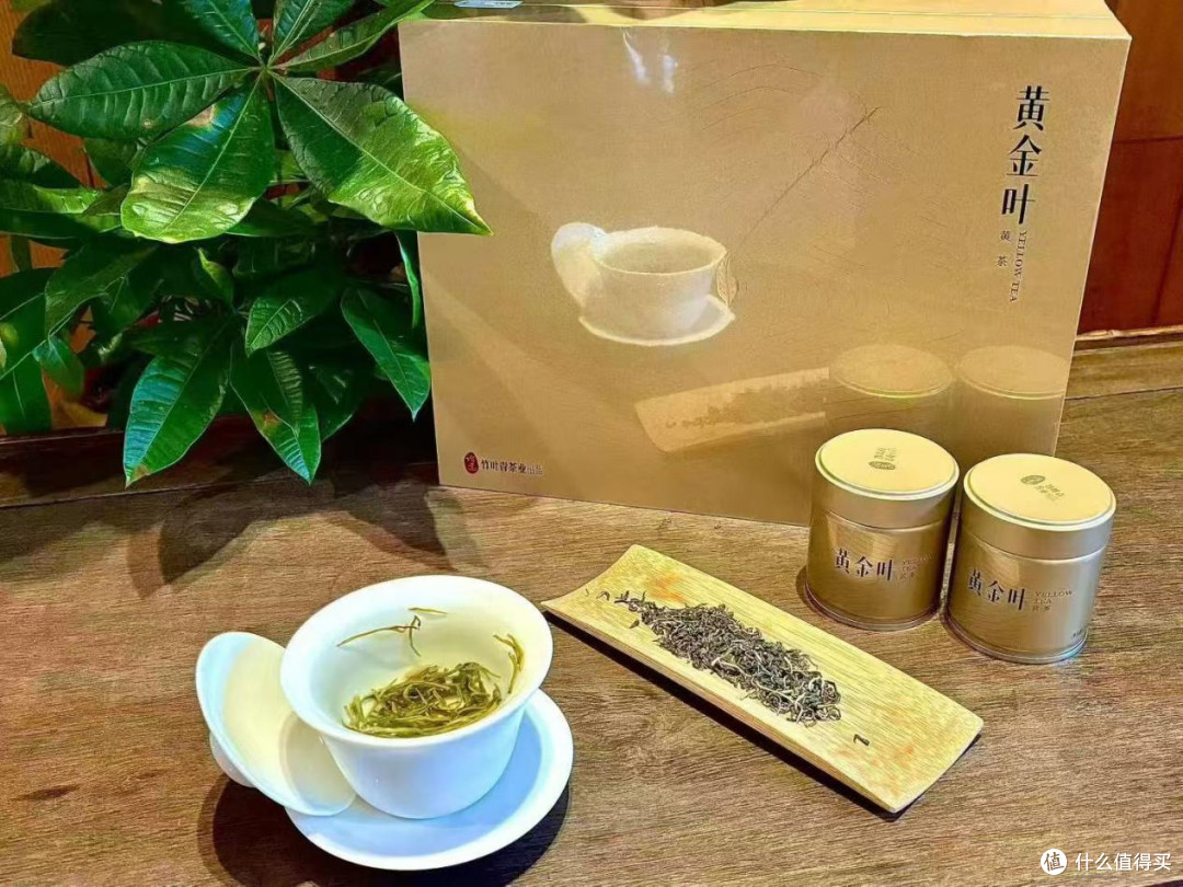 中秋喝什么健康又养生？待客选黄金叶黄茶适配团圆家宴