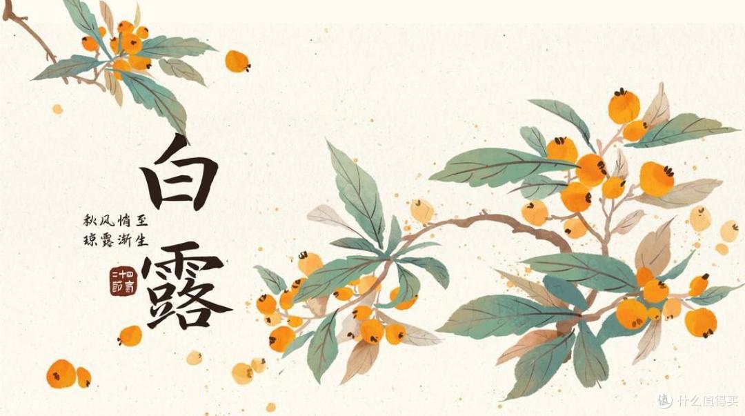 白露将至，记得：4事不做，3肉不吃，调整饮食，为冬天打好基础