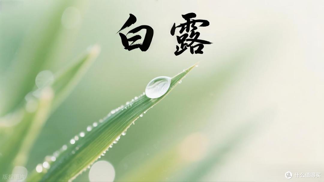 9月7日白露,牢记:1不露、2不做、3要吃、4要藏,传统习俗莫要忘
