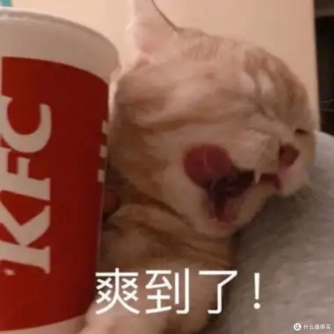  有屏和没屏，是两种不同的外设！你应该关心的观星者手柄体验
