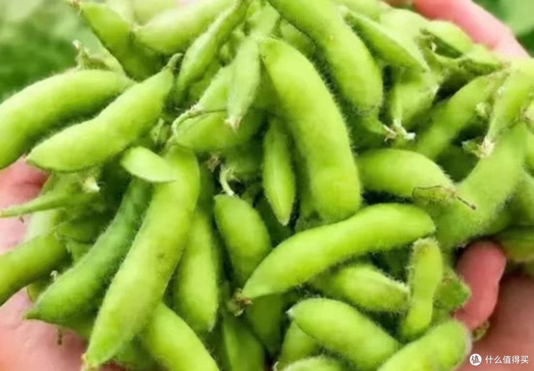 下班后的一碗毛豆,是给自己的绿灯