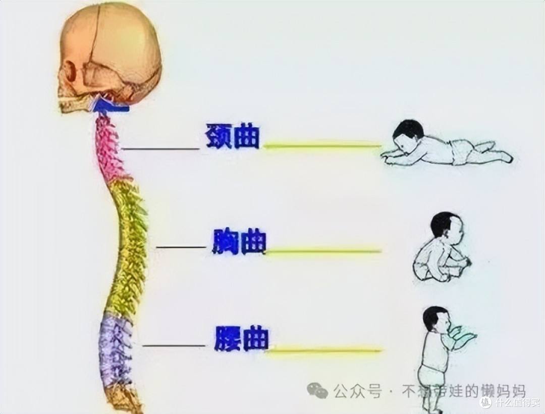 横抱哭竖抱笑，宝宝为什么这么喜欢竖着抱？医生:宝宝在长脑子