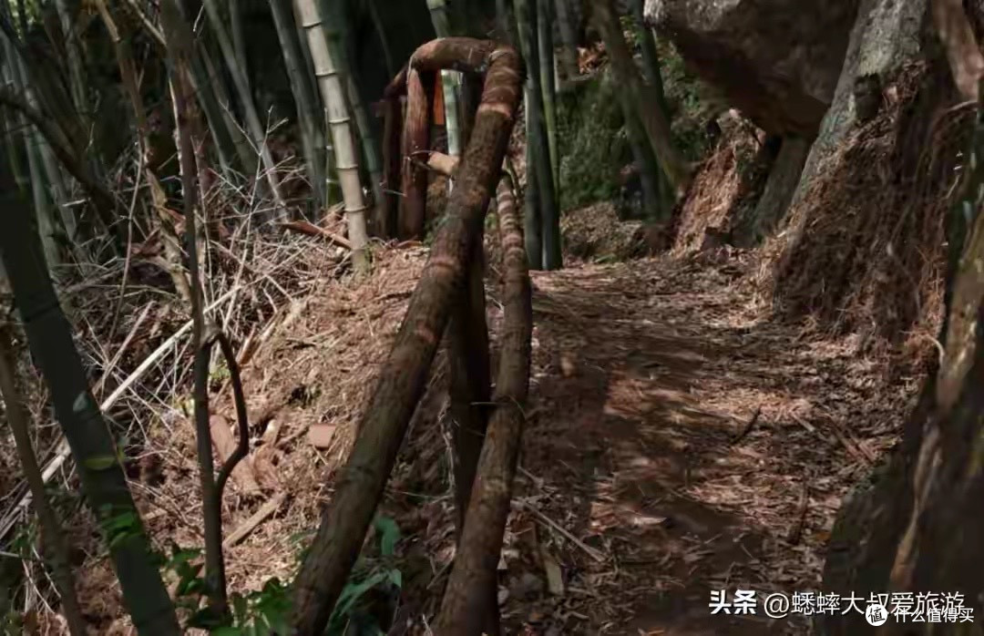 生活费卡很紧的轻妆党,性价比高的素颜霜我会先看一瓶能省哪几步
