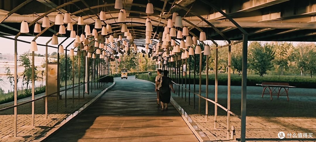 饭量变小的术后病人喝什么蛋白粉：高纯型和营养型先分开