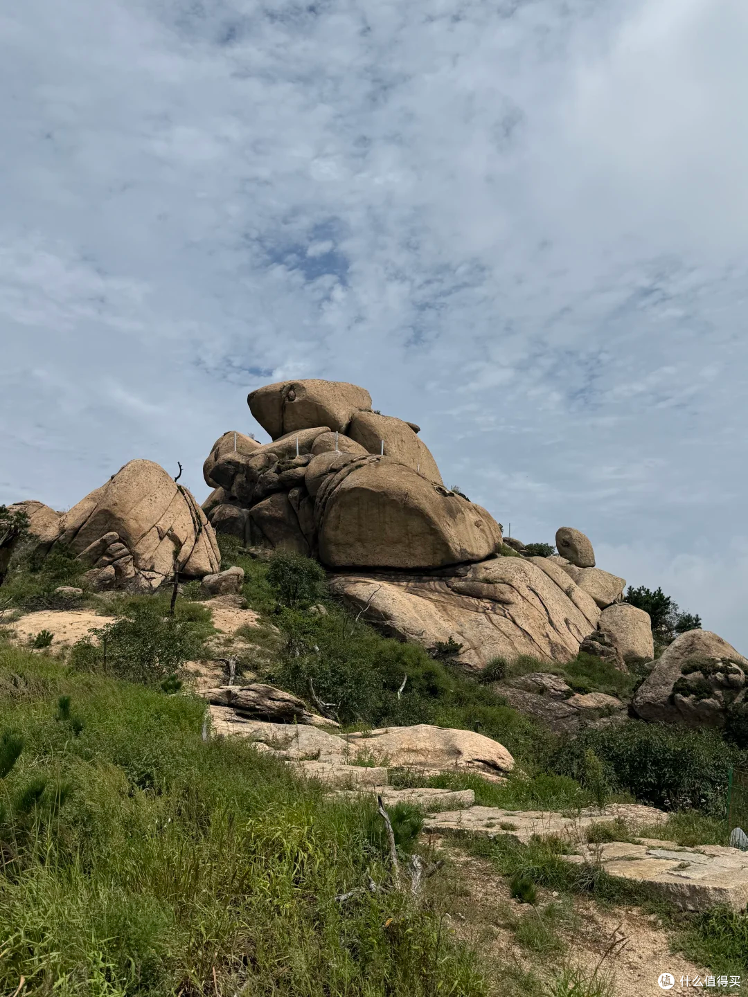 山野备忘录｜同一座小珠山，这个夏天还没过完，已经"收"了好几个人
