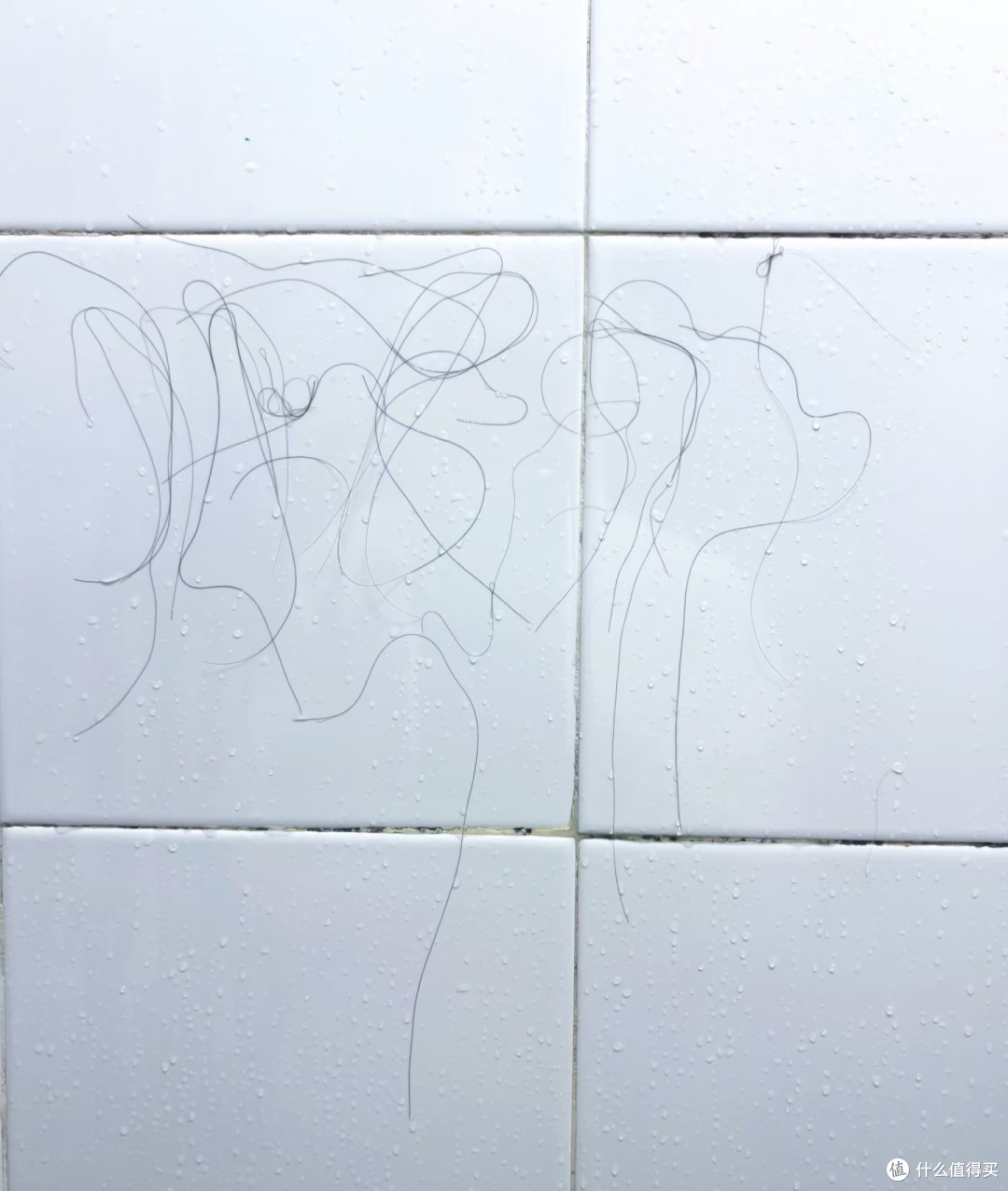 哈哈哈哈,原来老老实实洗澡的人才是小众的