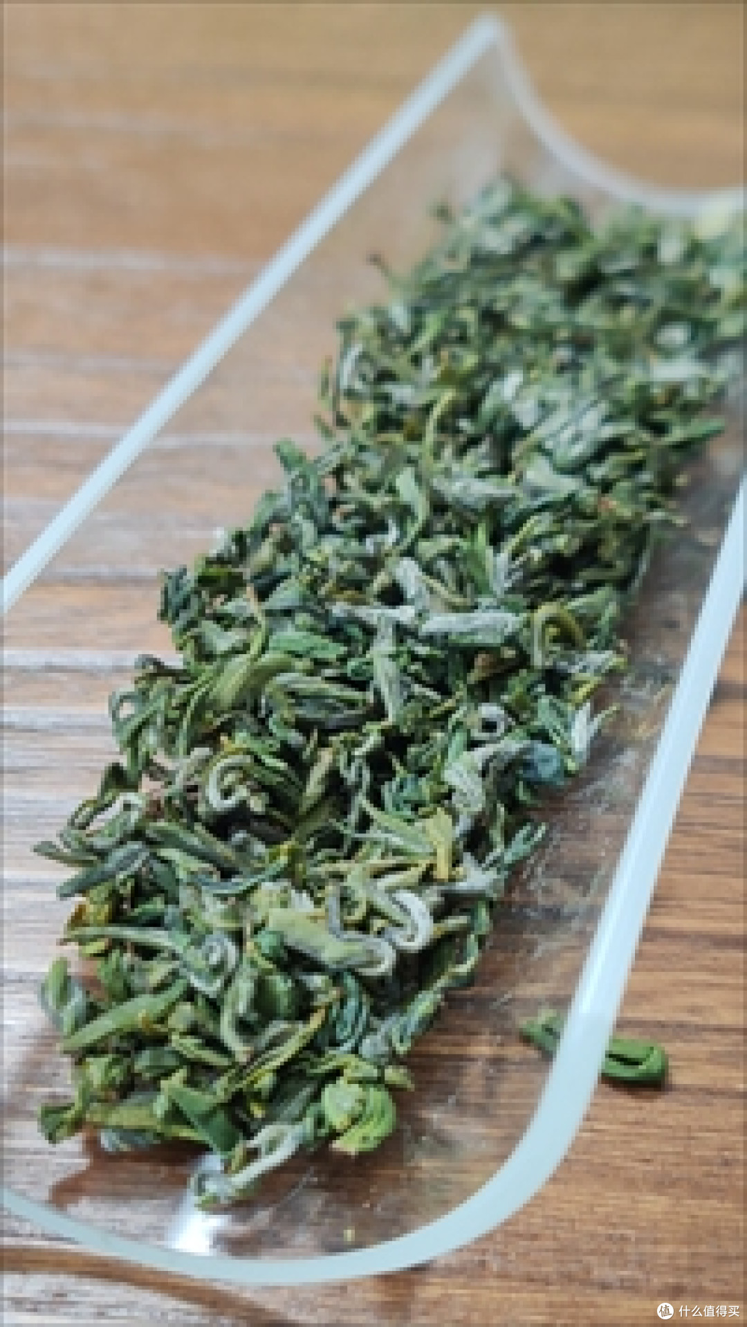 荒野茶测评:春来东坡 vs 早白巅林韵,谁最野?